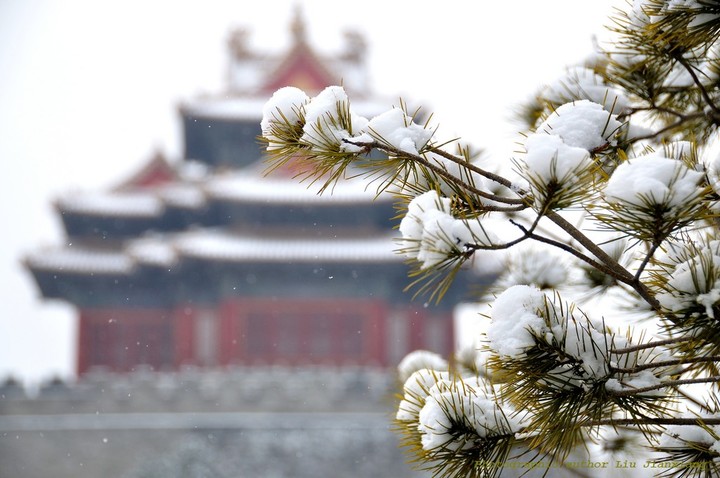 【北京终于下雪了--记雪后北海公园摄影图片】
