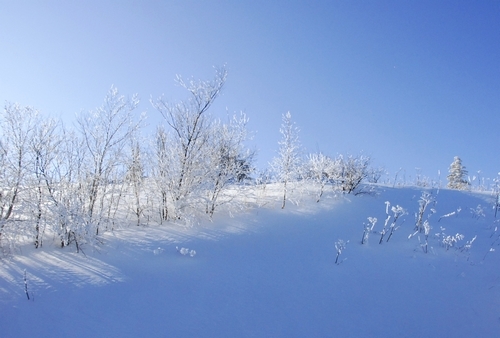 【蓝色雪山摄影图片】亚伯历滑雪场.锅盖山风