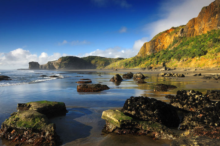 【奥克兰西海岸摄影图片】新西兰 奥克兰风光