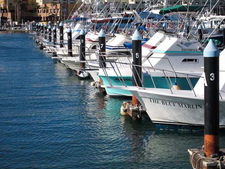 墨西哥,cabo san lucas (2)