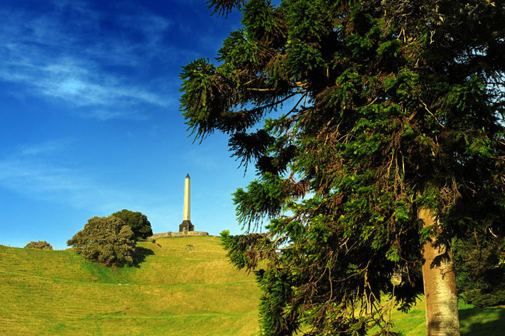 One Tree Hill 独树山