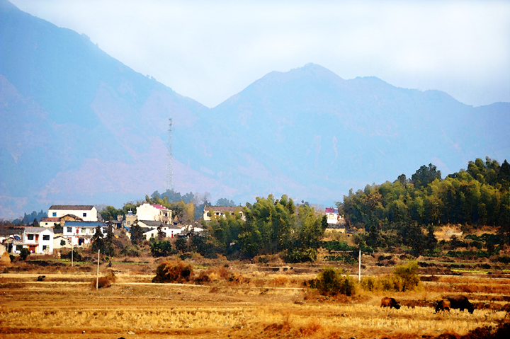 山上山下
