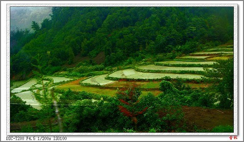 【黄水摄影图片】重庆石柱黄水森林公园(黄水