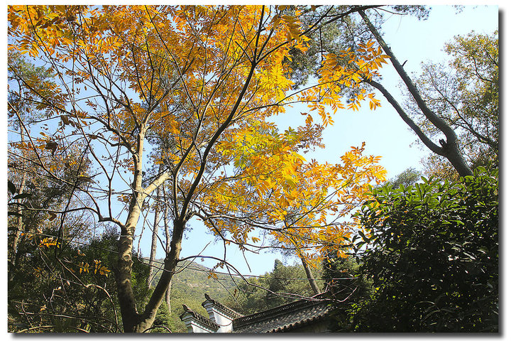 【黄岩九峰公园摄影图片】台州黄岩风光旅游摄