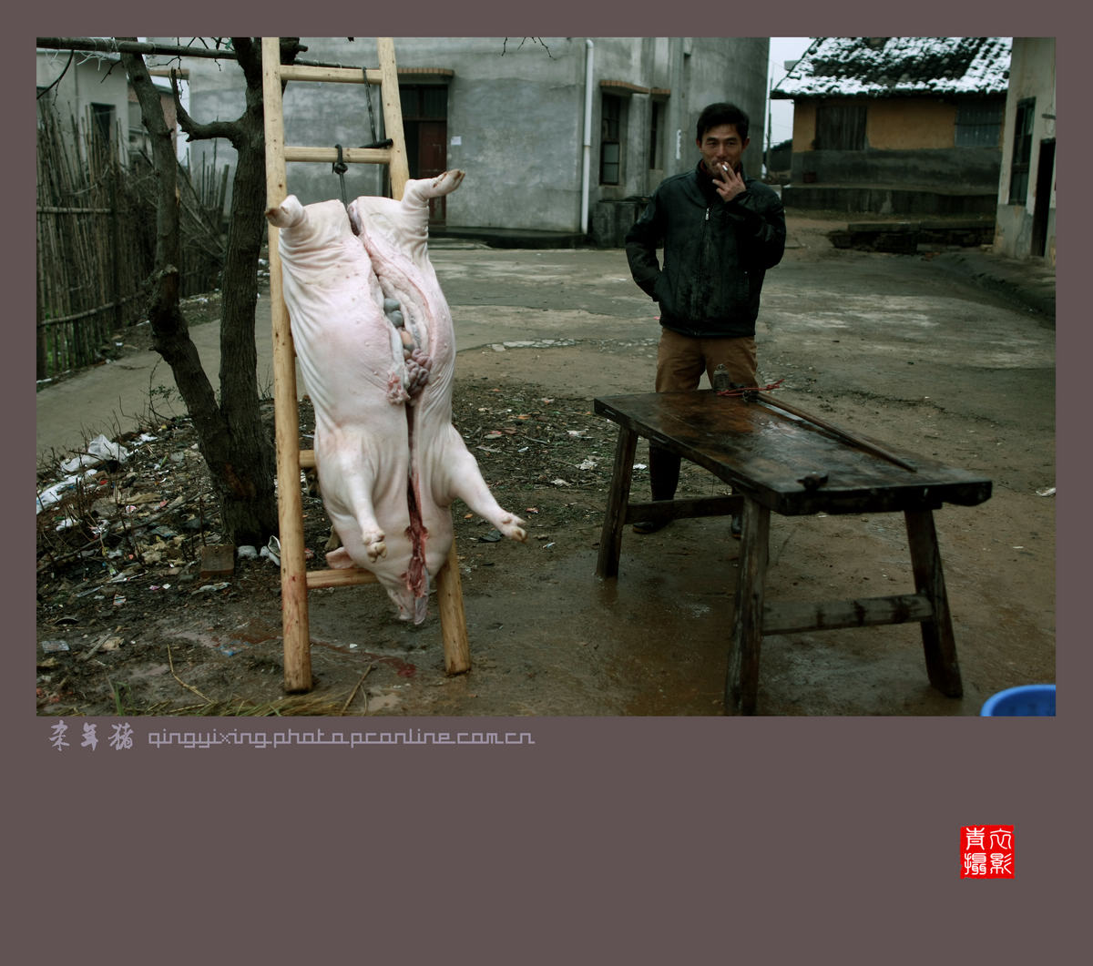 “大寒小寒，杀猪过年”——一个即将消失的农村习俗-麻辣摄影-麻辣社区