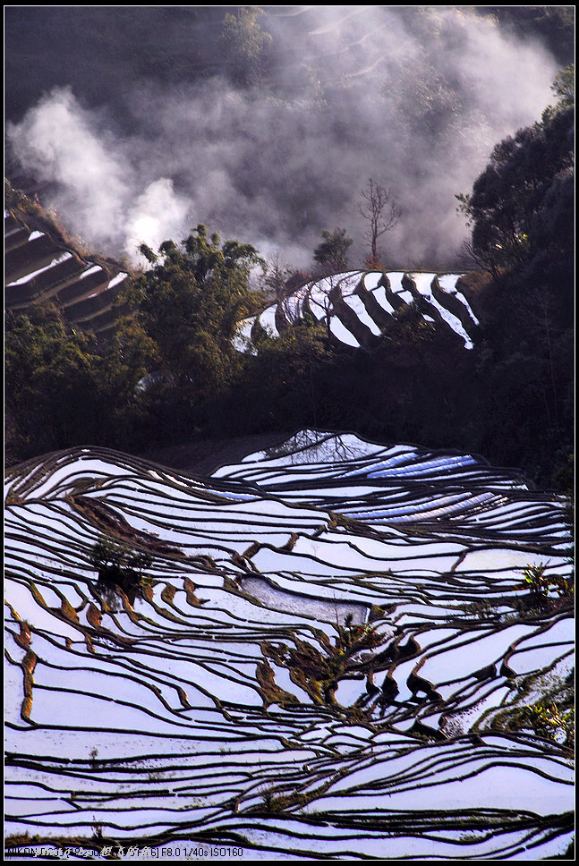 元阳哈尼梯田