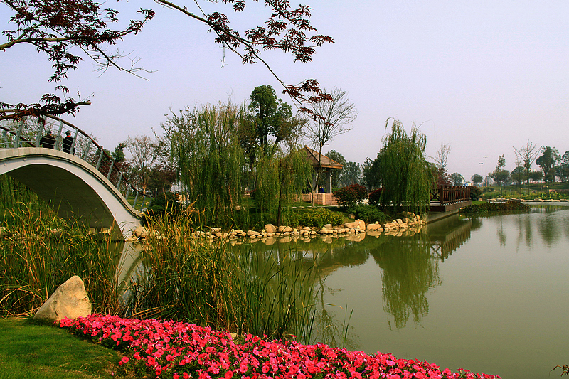 常州武进湖滨风景