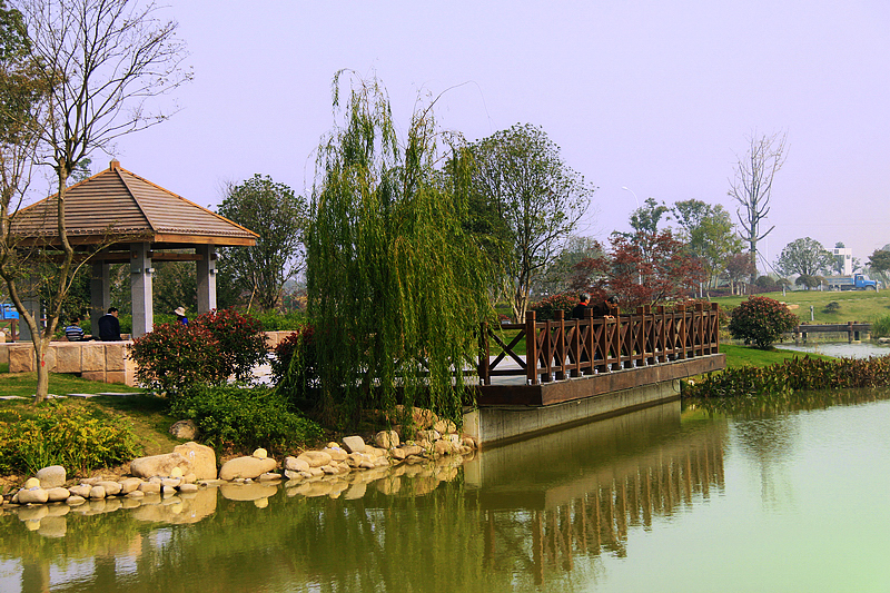 常州武进湖滨风景