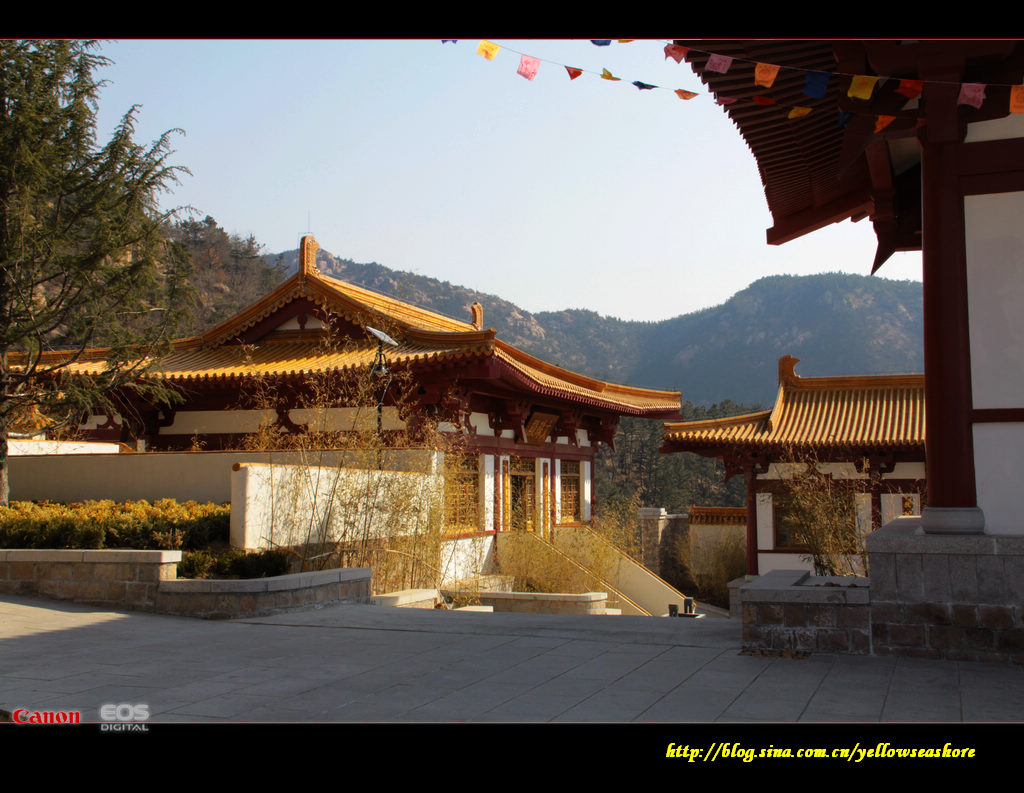 春游招虎山成道禅寺