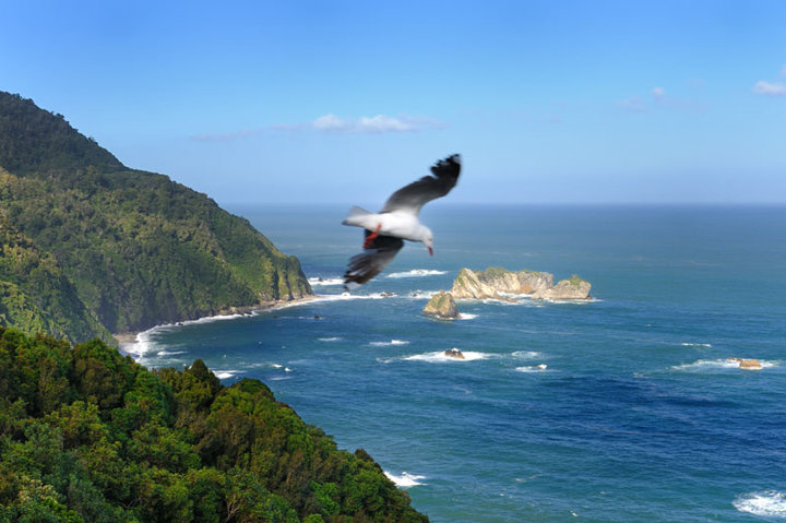 【新西兰南岛西海岸摄影图片】新西兰 南岛风