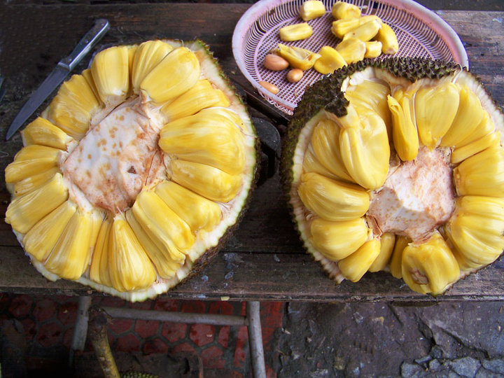 【树菠萝地菠萝摄影图片】广东省化州市纪实摄