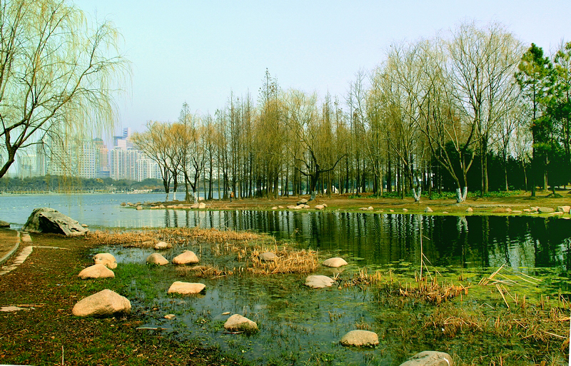 上海公园早春风景