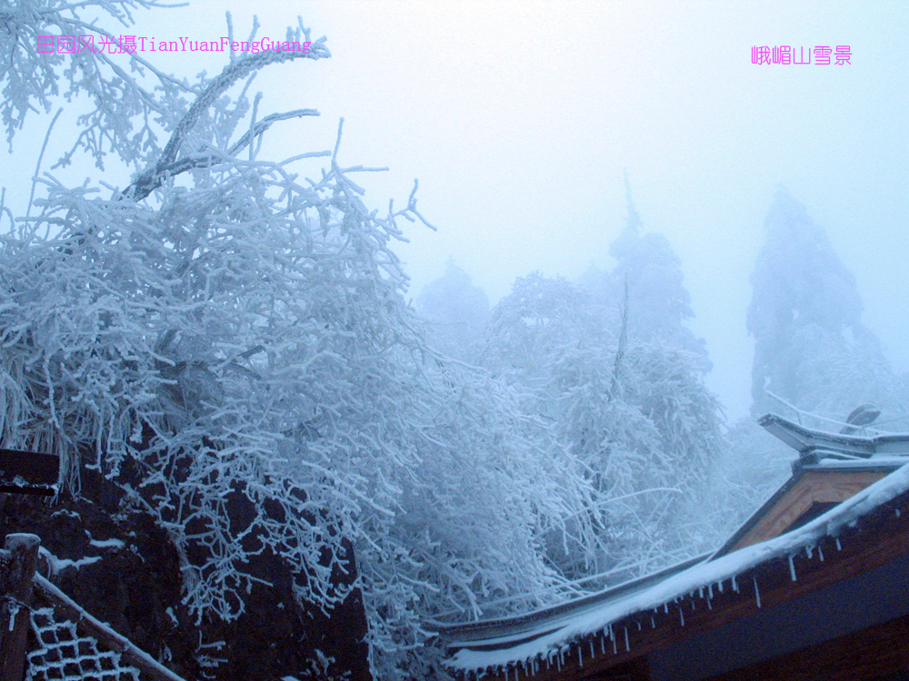 峨眉山雪景一