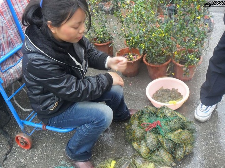 【不想说再见摄影图片】南宁市花鸟市场纪实摄