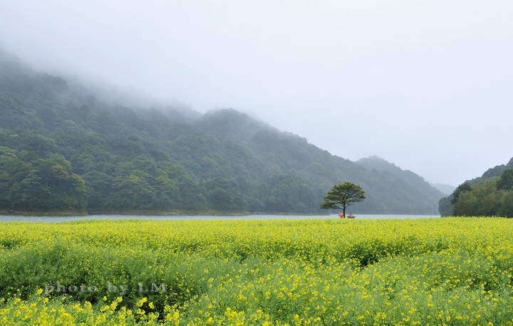 雾蒙蒙,雨蒙蒙