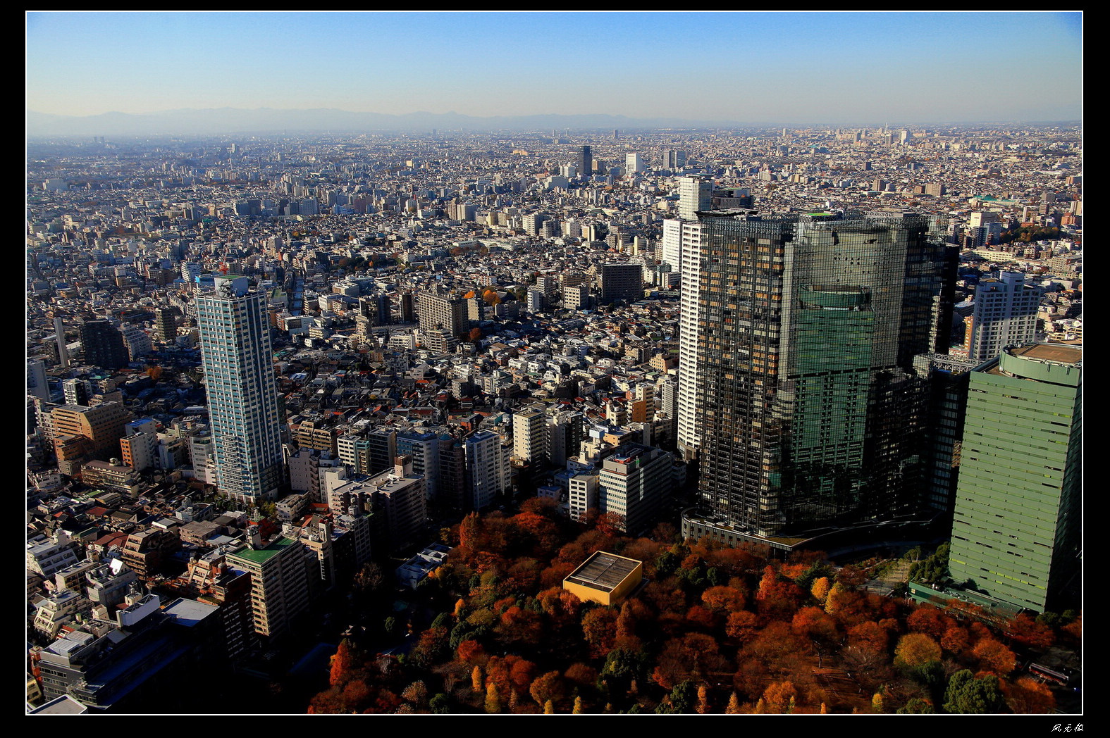 俯瞰东京