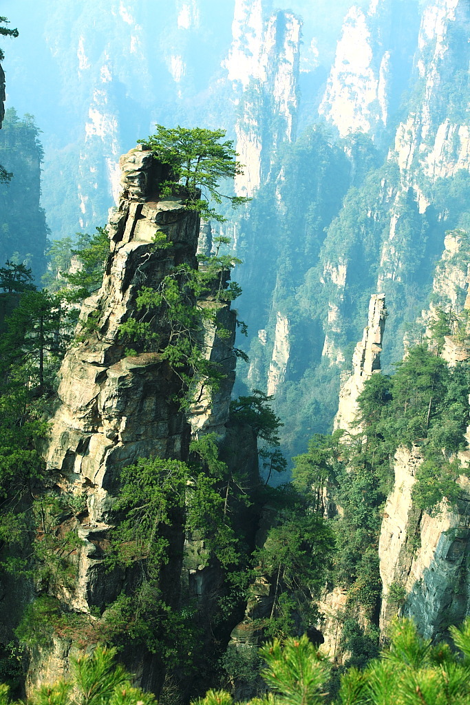 【只因你太美------张家界风光摄影图片】张家界风景