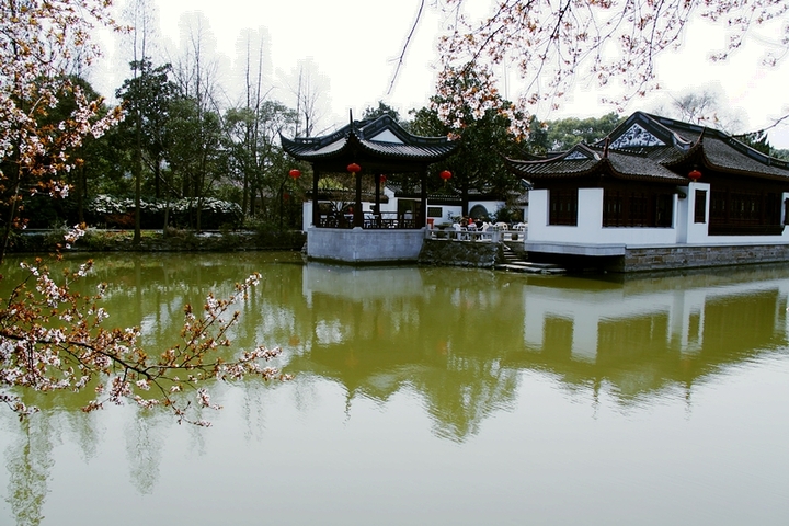 上海古猗园风景特好 (共p)