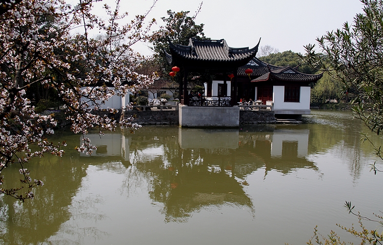 上海古猗园风景特好