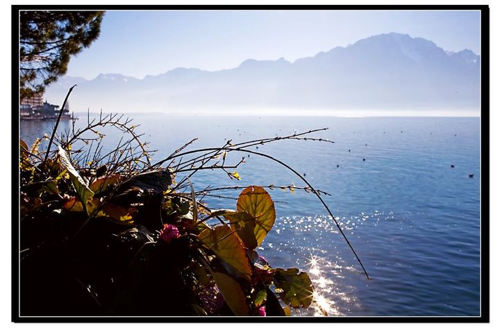 烟波浩淼的日内瓦湖--蒙特勒散记