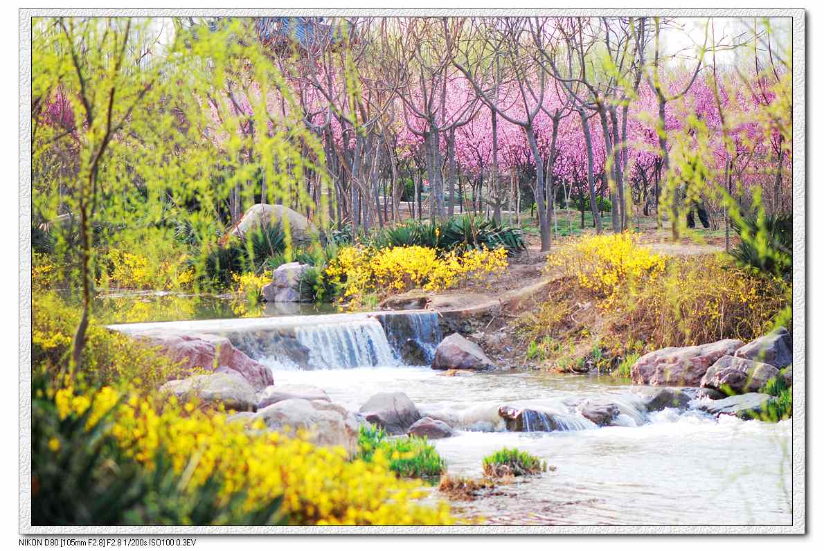 【多彩的春天摄影图片】隋唐城遗址公园风光摄影_li