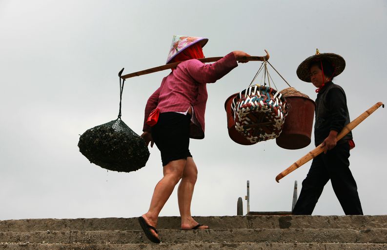 勤劳的浔浦女