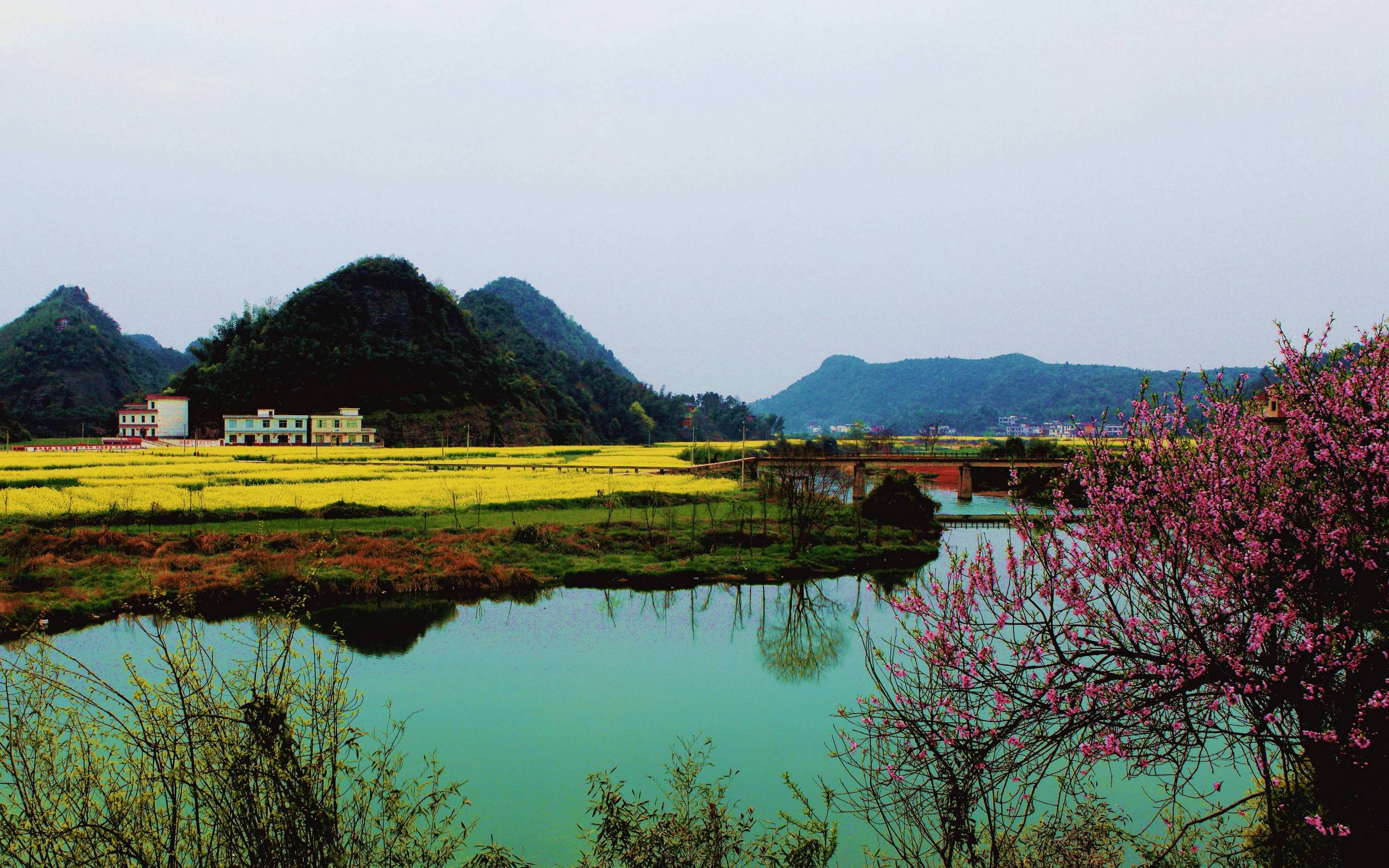 东桥春景