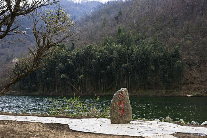 陇南阳坝风光