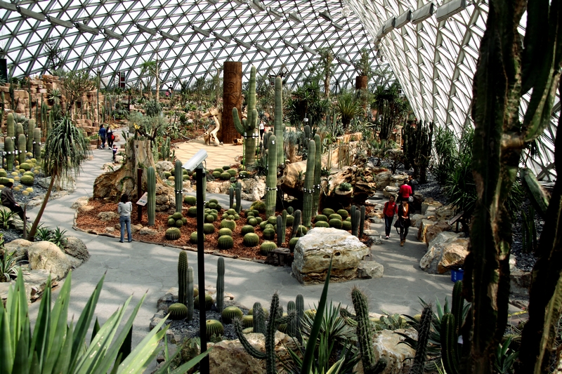 【巨大展览温室花木盛摄影图片】上海辰山植物园生态