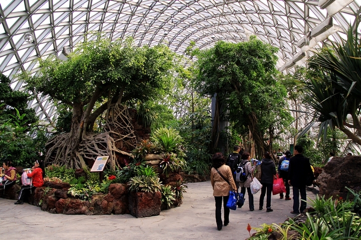 【巨大展览温室花木盛摄影图片】上海辰山植物