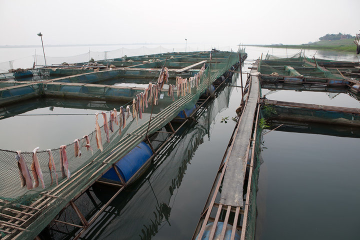 南海九江海寿岛游记