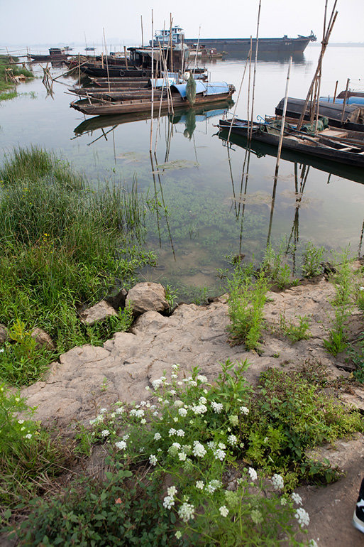 南海九江海寿岛游记