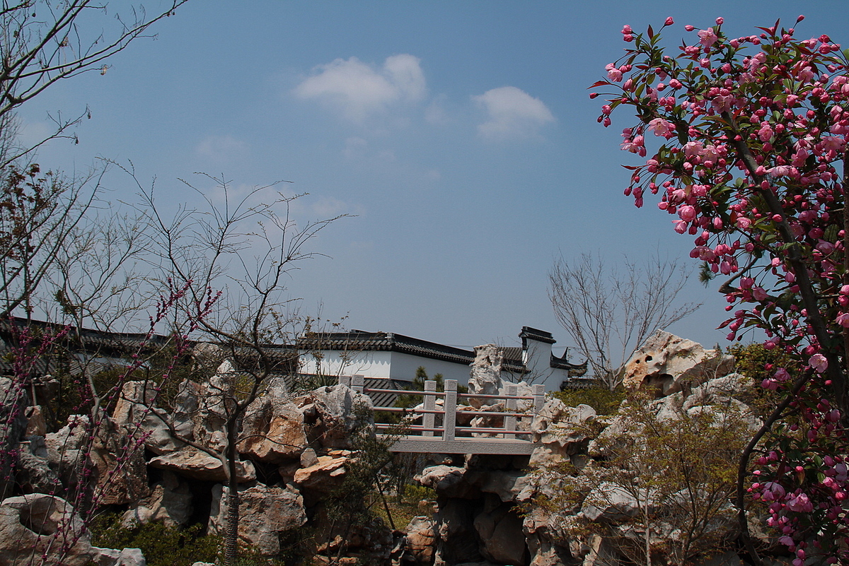 礼园风景