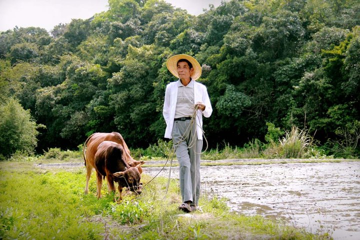 【农村题材人文纪实摄影图片】阳江纪实摄影_