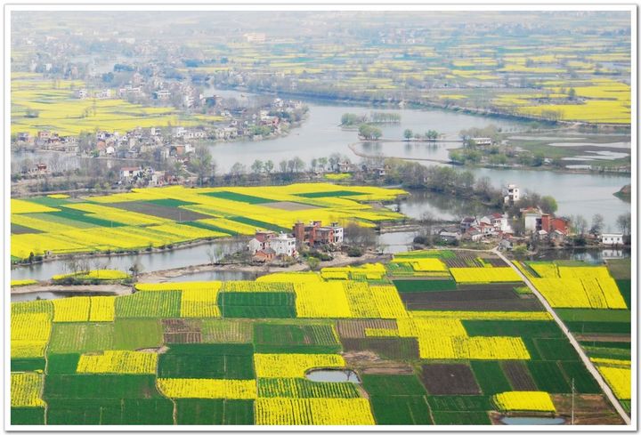 【皖南峨桥油菜花摄影图片】皖南峨桥响水涧生