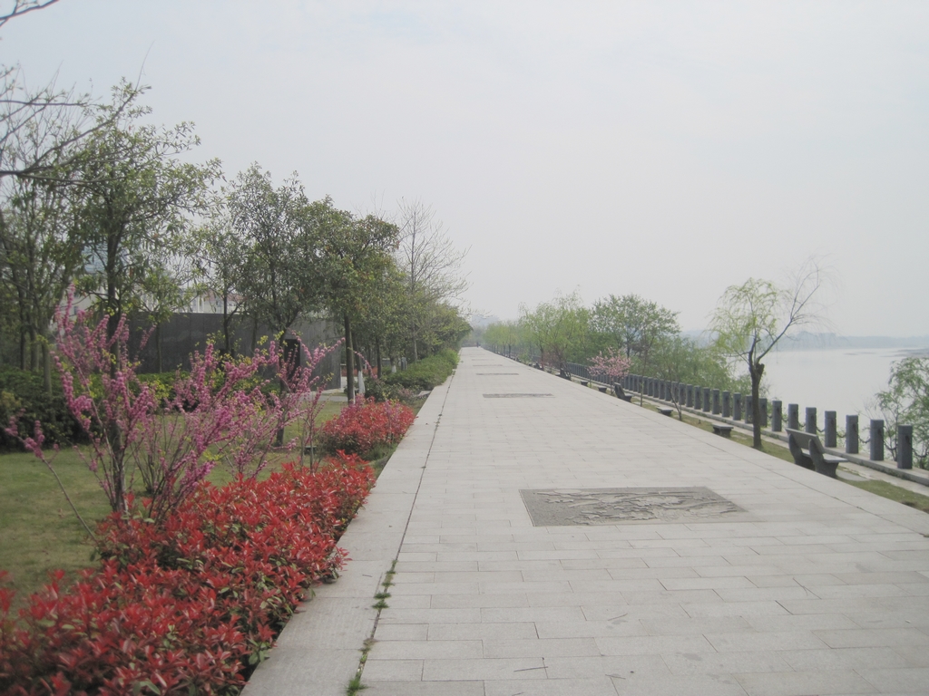 龙游江滨公园美景