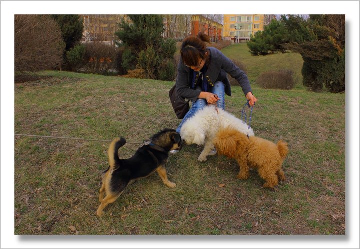 【女孩和她的宠物狗摄影图片】吉林市纪实摄影