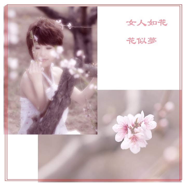 女人如花 花似梦