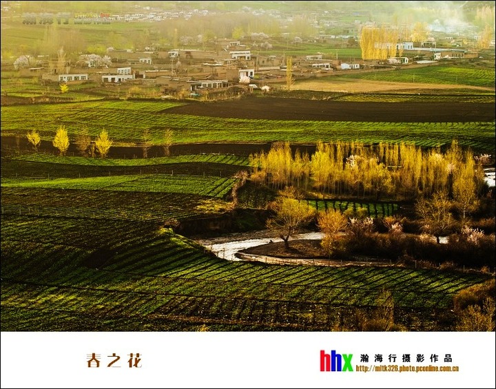【春之花摄影图片】新疆巩留风光旅游摄影