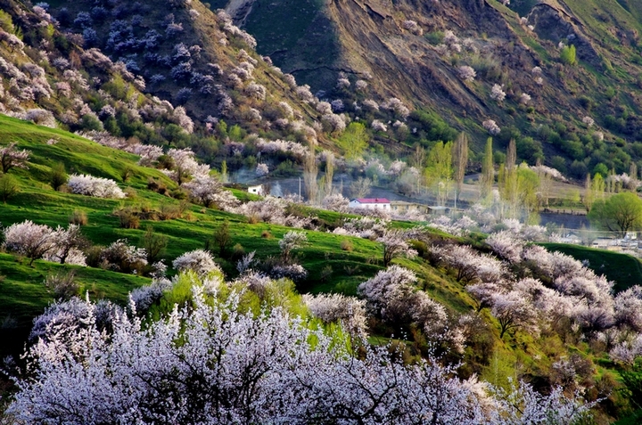 【牧区早春摄影图片】新疆伊犁生态摄影_风光