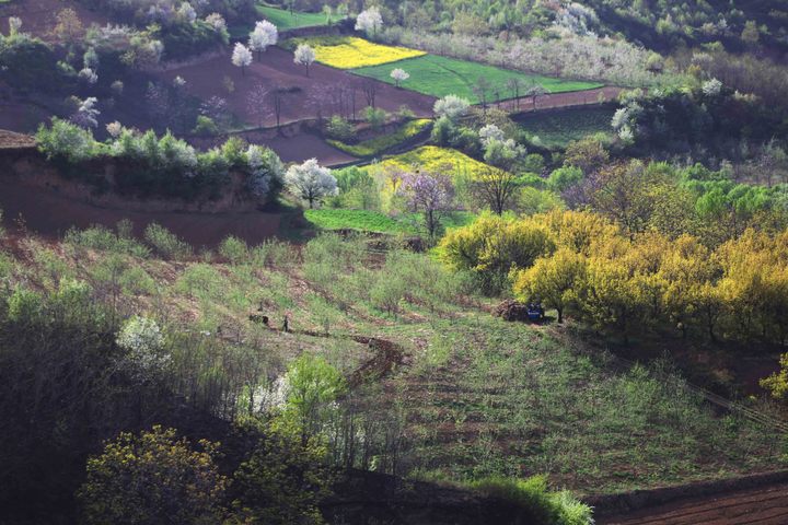 淳化仲山风光