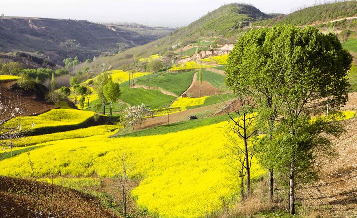 淳化仲山风光