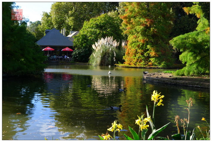 【在南澳洲阿德莱德植物园里享受自然摄影图片