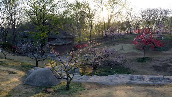 家乡有个桃花坞