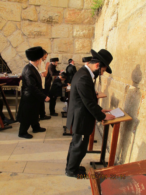 以色列哭墙下祈祷的犹太人