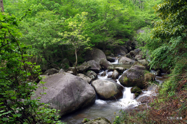 大围山各种