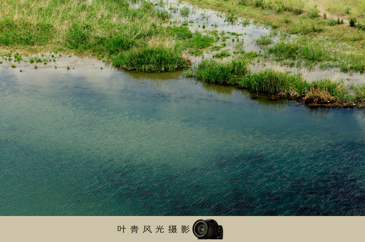 【伊犁河湿地摄影图片】新疆伊犁河风光旅游摄
