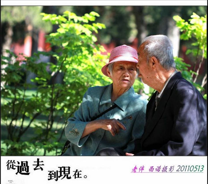 老伴儿