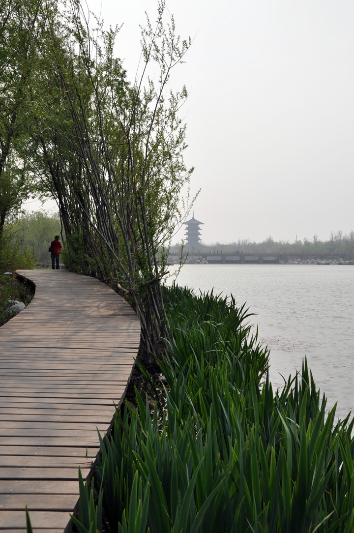 潍坊白浪河湿地公园