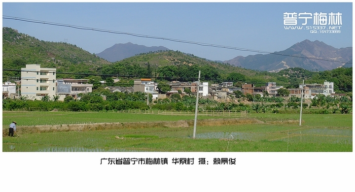 普宁市梅林镇【速览】广东红糖核.茴香籽加橄榄图片